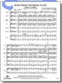 Suite From The Magic Flute